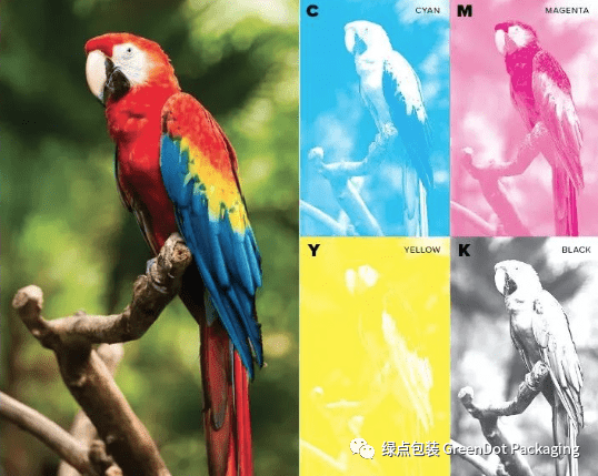 CMYK Breakdown Image