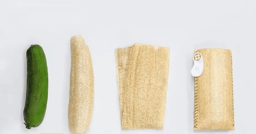 Eco-friendly packaging design - loofah cup sleeve 2